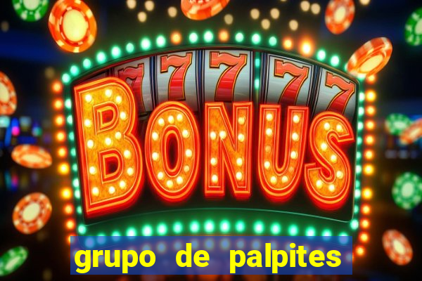 grupo de palpites de futebol whatsapp